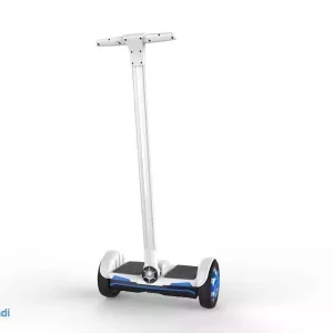 Mini Segway. (F1)
