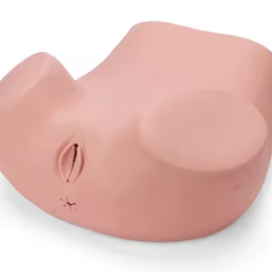 Gynaecological Examination Simulator