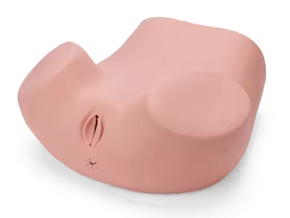 Gynaecological Examination Simulator