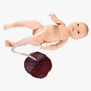 Advanced Neonatal Umbilical Cord Nursing Model