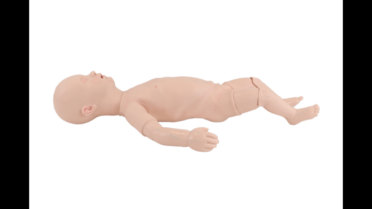 Term Fetus Simulator - Image 2