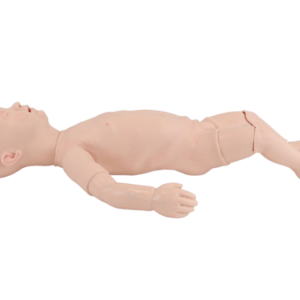 Term Fetus Simulator